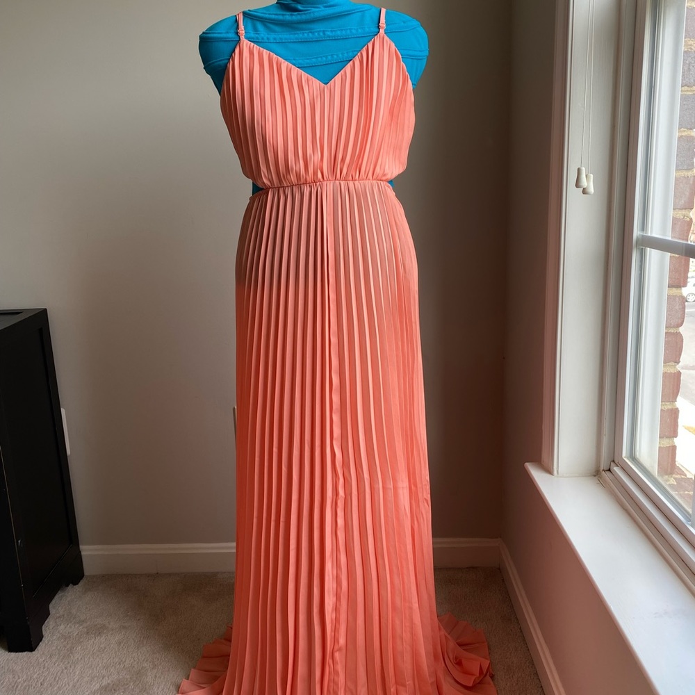 Express Maxi dress